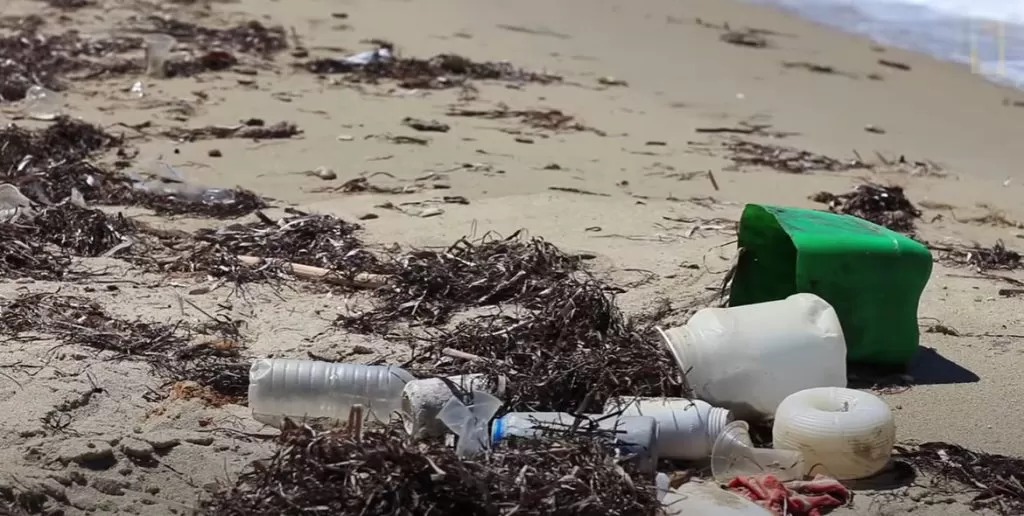 Solutions de stockage de sacs en plastique écologiques pour la maison et l'industrie 2 Stockage de sacs en plastique et réduction des déchets