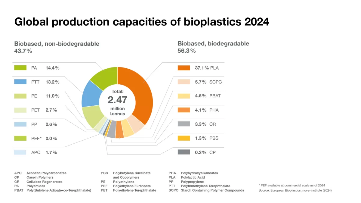 Bioplastic Production Risks and Mitigations