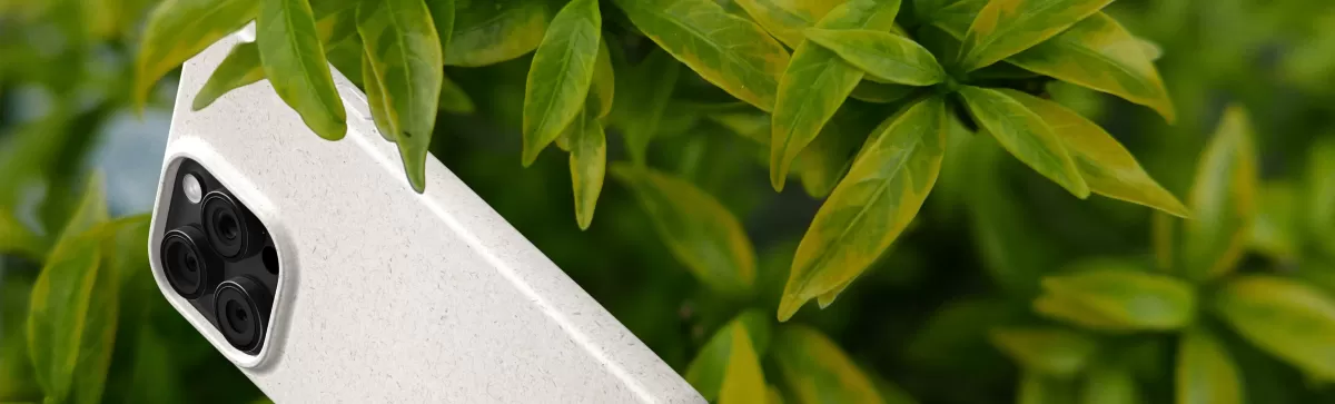 Eco-Friendly Bulk Buying Benefits