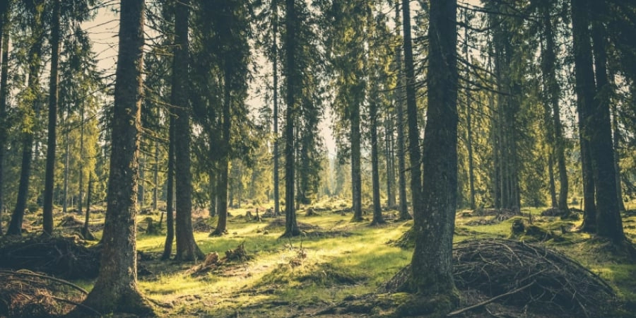 Eco Product Supplier Vetting Criteria