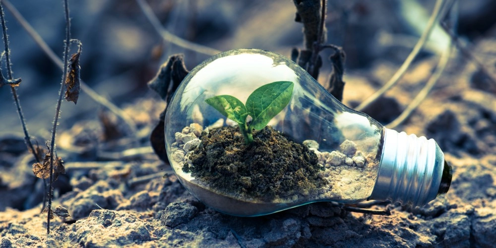 持続可能な調理のための環境に優しい食品グレードのアルミ箔オプション1 環境に優しいアルミ箔の利点