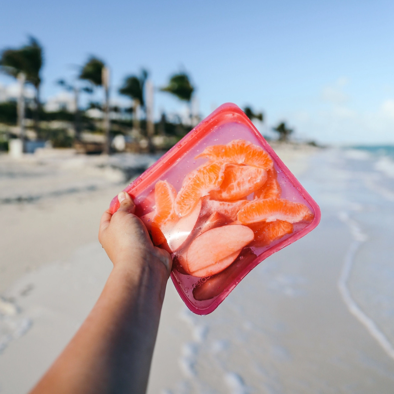 Silicone Food Storage Bag Manufacturer Criteria