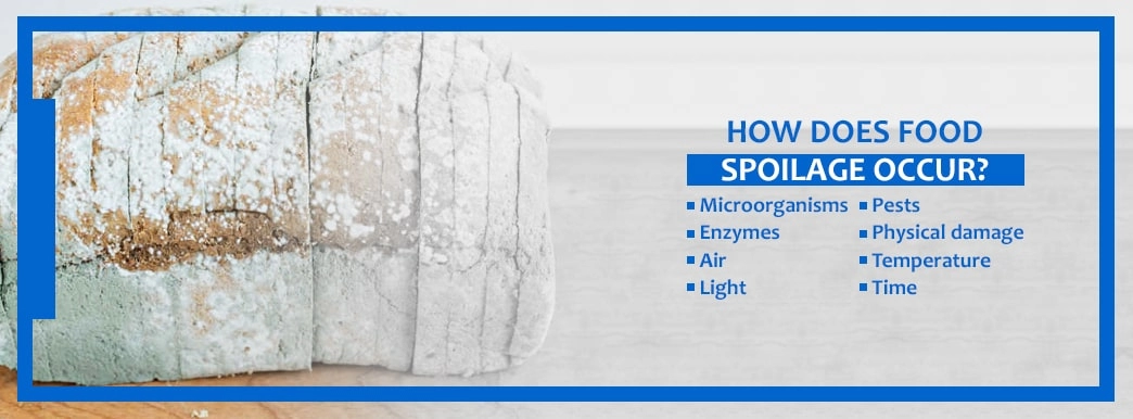 Food Packaging for Spoilage Prevention