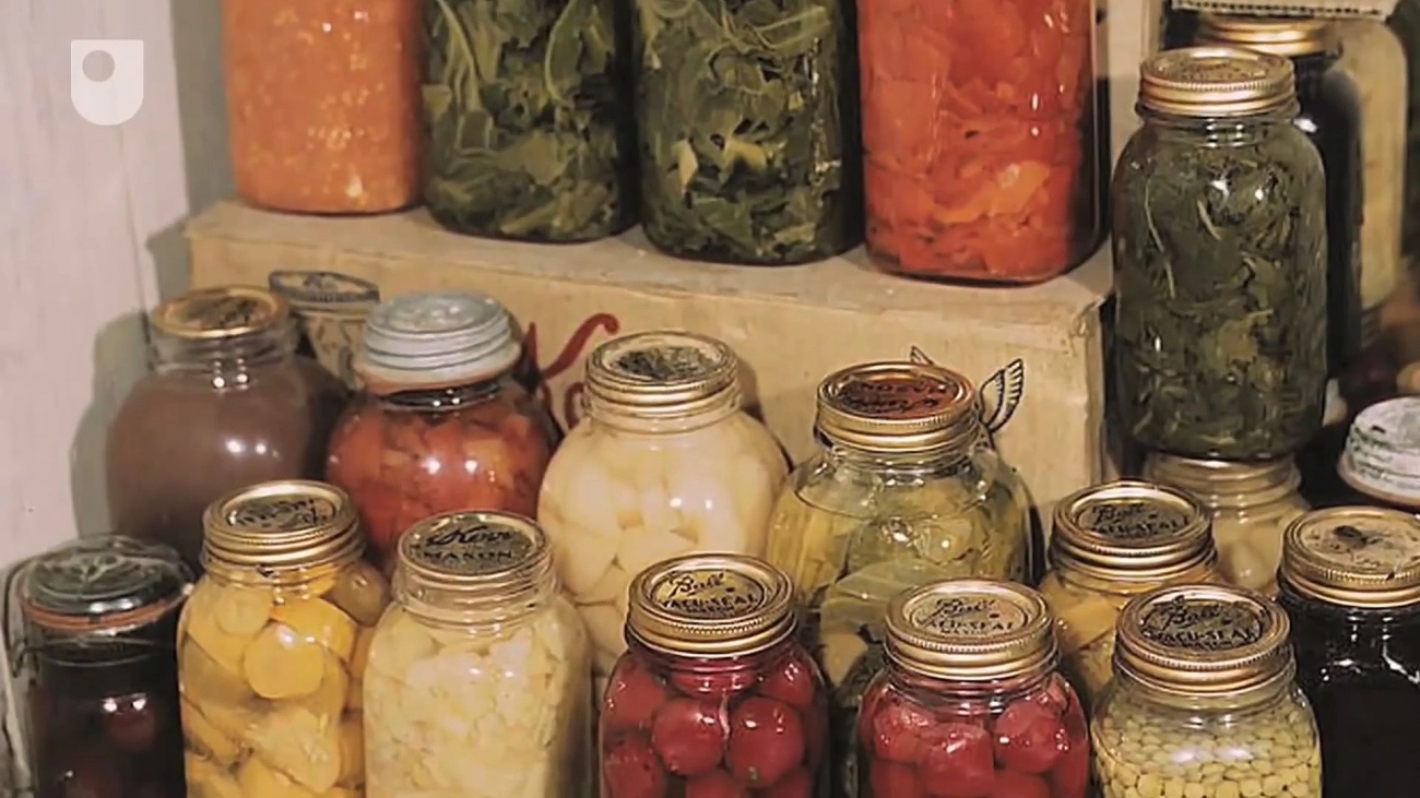 History of Plastic Films in Food Preservation