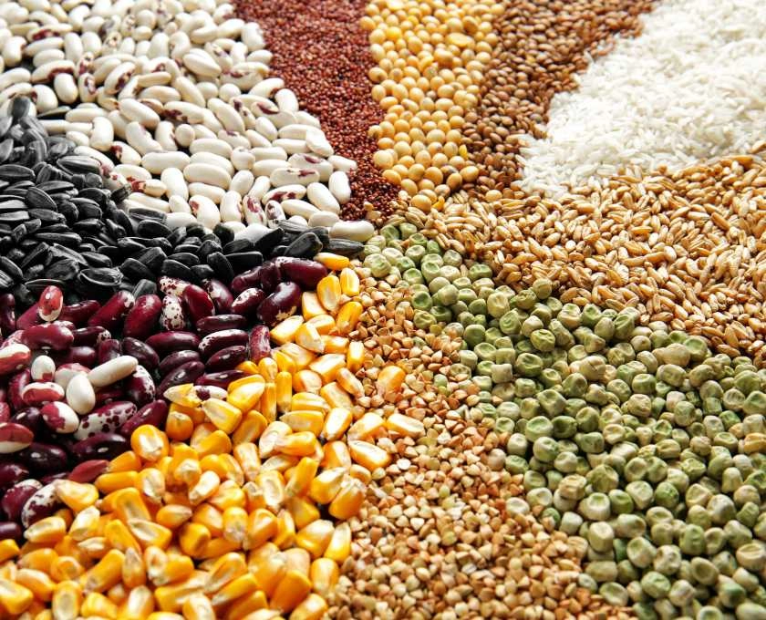 Long-Term Food Storage Basics