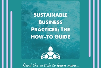 Sustainable Food Storage Materials Comparison